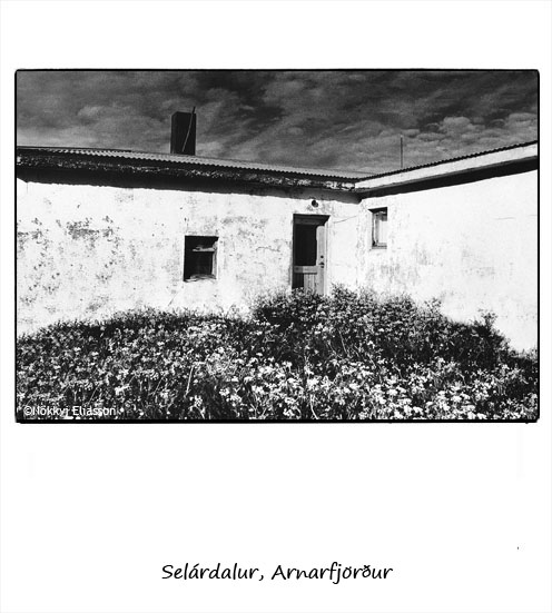 From Sel�rdalur