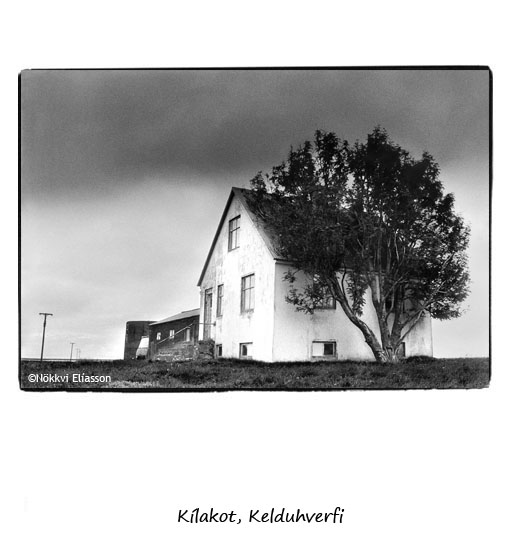 K�lakot in Kelduhverfi