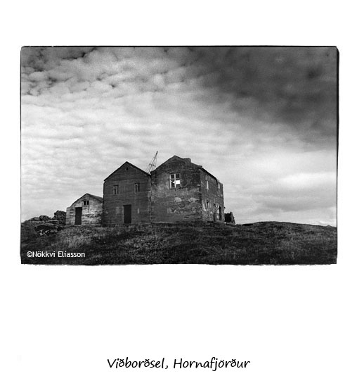 Vi�bor�sel in Hornafj�r�ur
